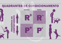 Entenda o Reforço Positivo